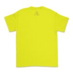 reg-yellow-back